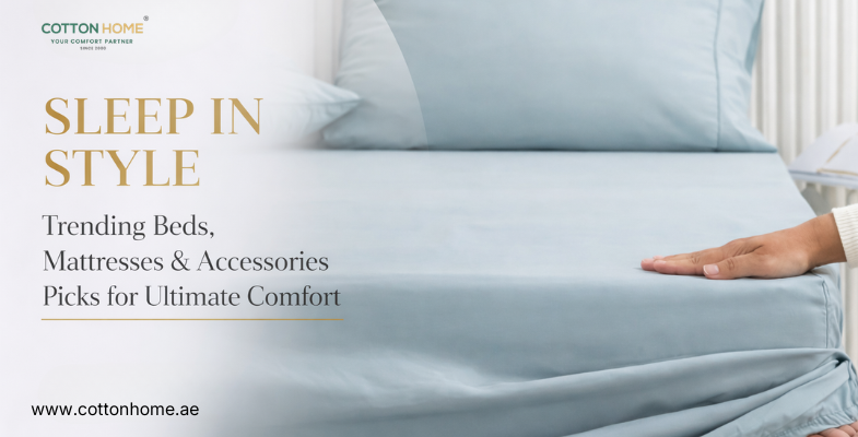 Sleep in Style – Trending Beds, Mattresses & Accessories Picks for Ultimate Comfort