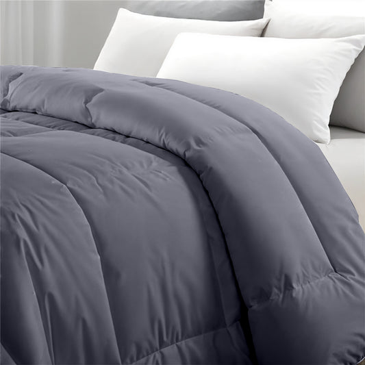 Premium Silver All Season High quality Super Soft Comforter 1 Piece