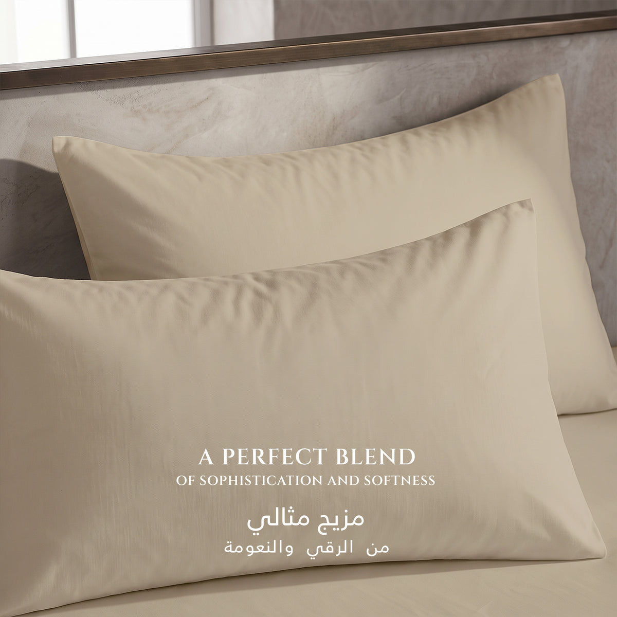 Premium Cotton Fitted Bedsheet 500TC High Quality 200x200cm Beige Birge