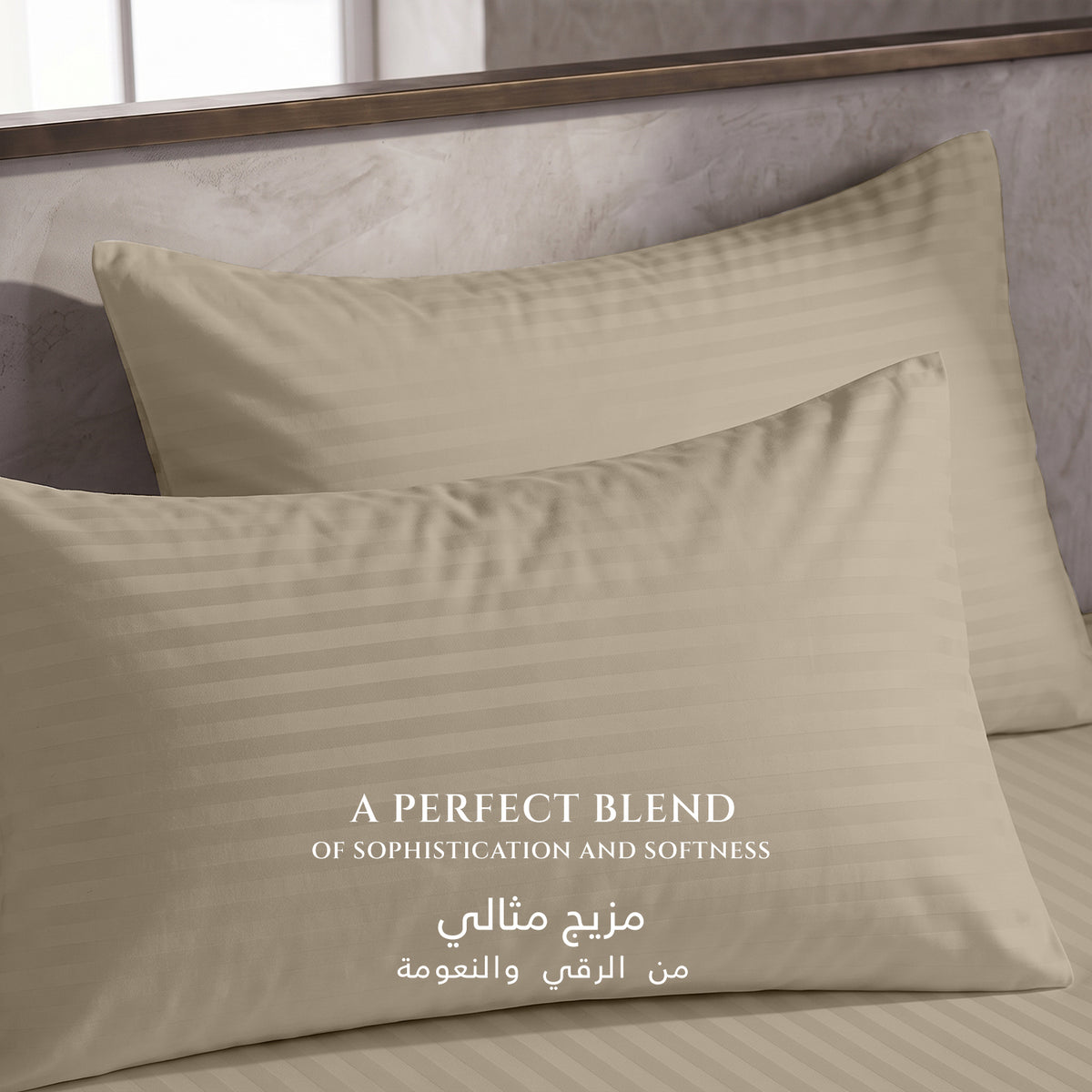Premium Cotton Fitted Bedsheet 500TC Stripe High Quality 200x200cm Beige Birge