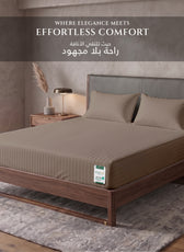Premium Cotton Fitted Bedsheet 500TC Stripe High Quality 160x200cm Champagne