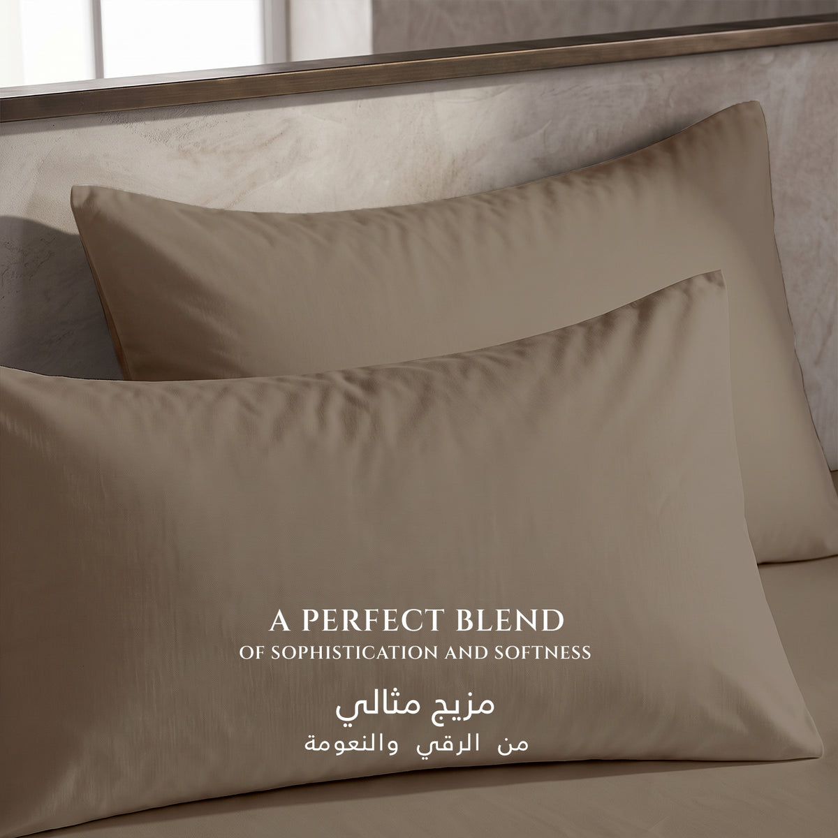Premium Cotton Fitted Bedsheet 500TC High Quality 160x200cm Champagne