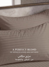 Premium Cotton Fitted Bedsheet 500TC Stripe High Quality 160x200cm Champagne