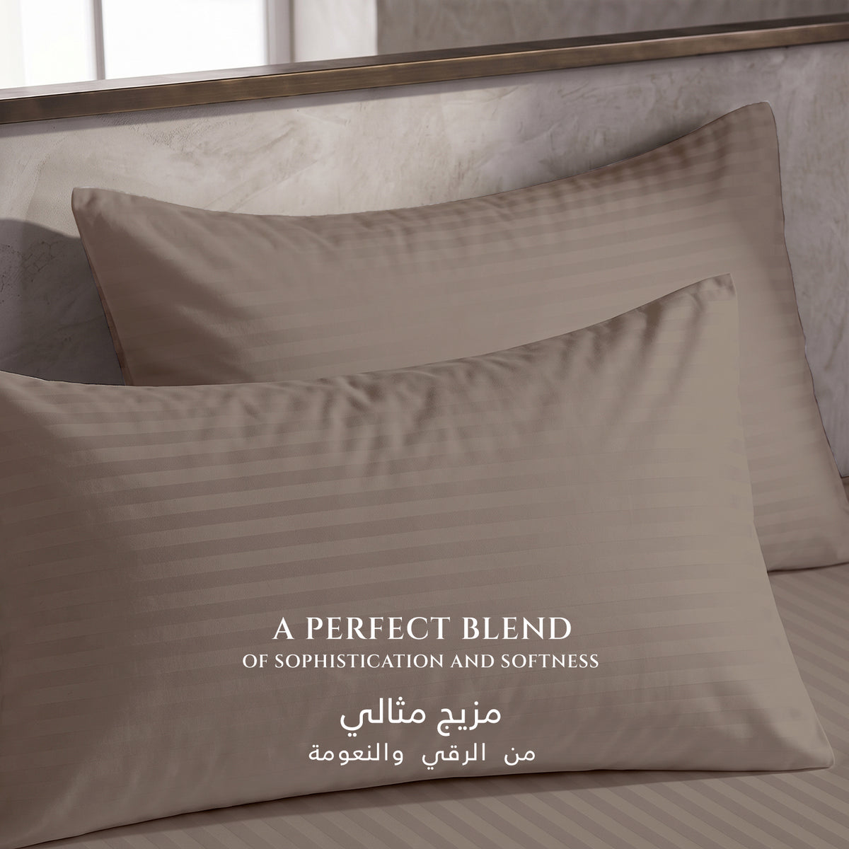 Premium Cotton Fitted Bedsheet 500TC Stripe High Quality 160x200cm Champagne