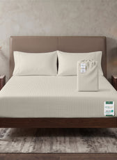 Premium Cotton Fitted Bedsheet 500TC Stripe High Quality 120x200cm Cream Canoli