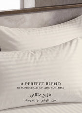 Premium Cotton Fitted Bedsheet 500TC Stripe High Quality 120x200cm Cream Canoli