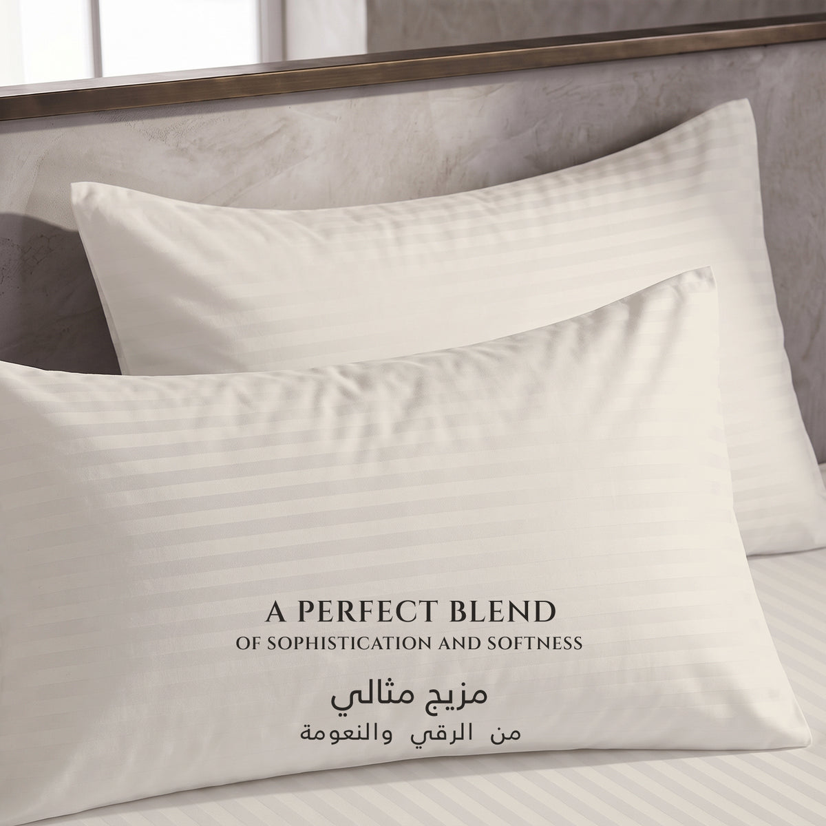 Premium Cotton Fitted Bedsheet 500TC Stripe High Quality 120x200cm Cream Canoli