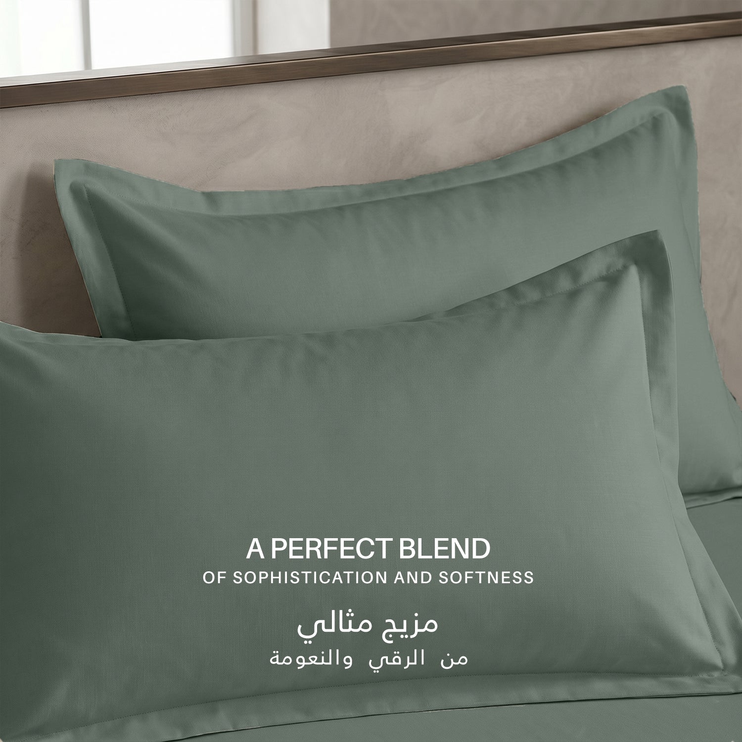 Egyptian Cotton 6 Piece Duvet Cover Set 220x240cm Seige Green