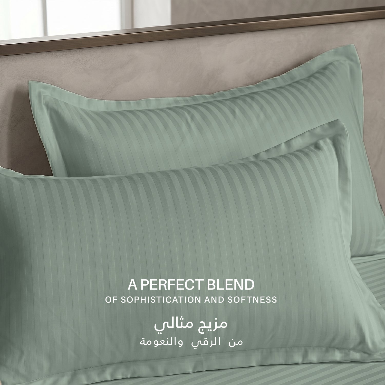 Egyptian Cotton 6 Piece Stripe Duvet Cover Set 220x240cm Seige Green