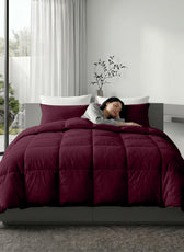 3PC Comforter Set Solid Dyed Microfiber Bordo 160×220cm