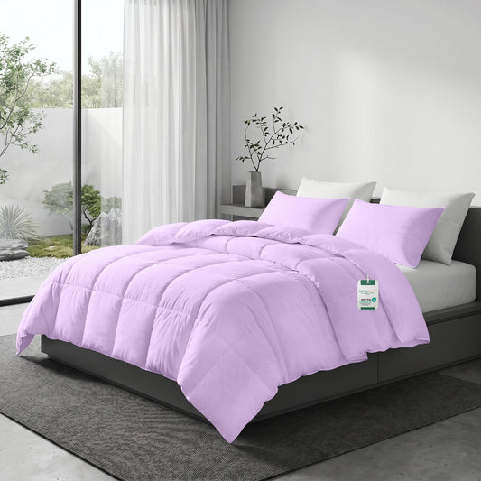 3PC Comforter Set Solid Dyed Microfiber Light Purple 220×240cm