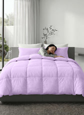 3PC Comforter Set Solid Dyed Microfiber Light Purple 220×240cm