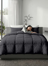 3PC Comforter Set Solid Dyed Microfiber Silver 160×220cm