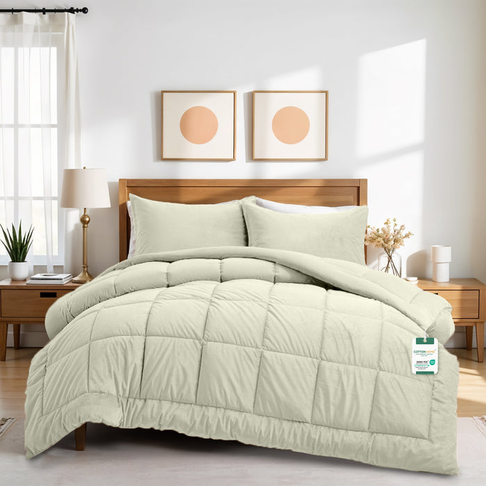 Luxury Velvet 3-Piece King Comforter Set - 240x260 cm- Ivory