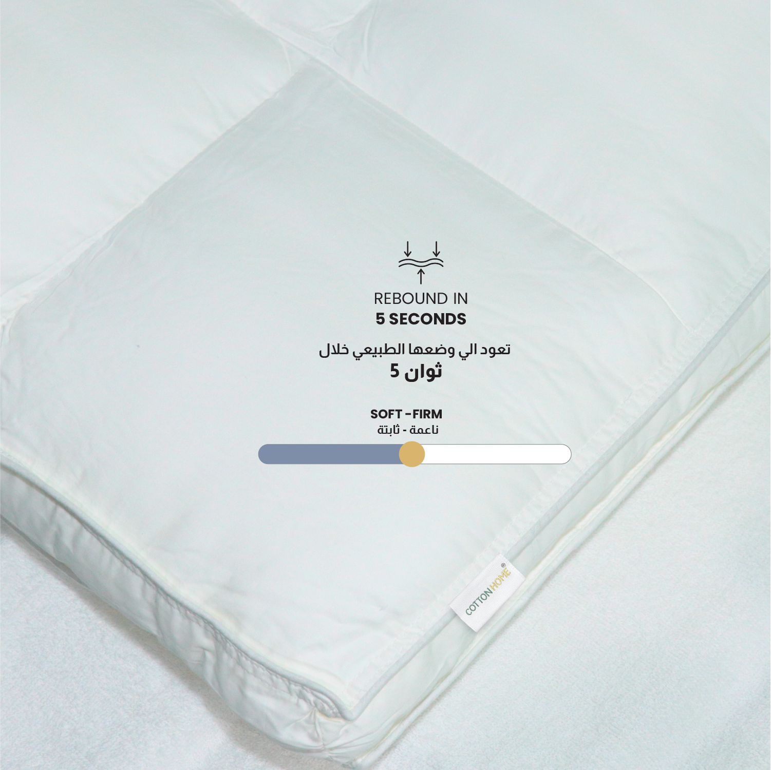 Charlotte Pillow Premium Down proof Cotton Pillow 50x75 cm Medium Soft Support for Neck & Head Pain Relief