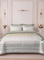 Avendra 350TC  Cotton 6-Piece Set Premium Quality King Comforter Set 220x240cm