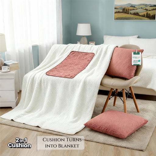 2-in-1 Cushion with Blanket