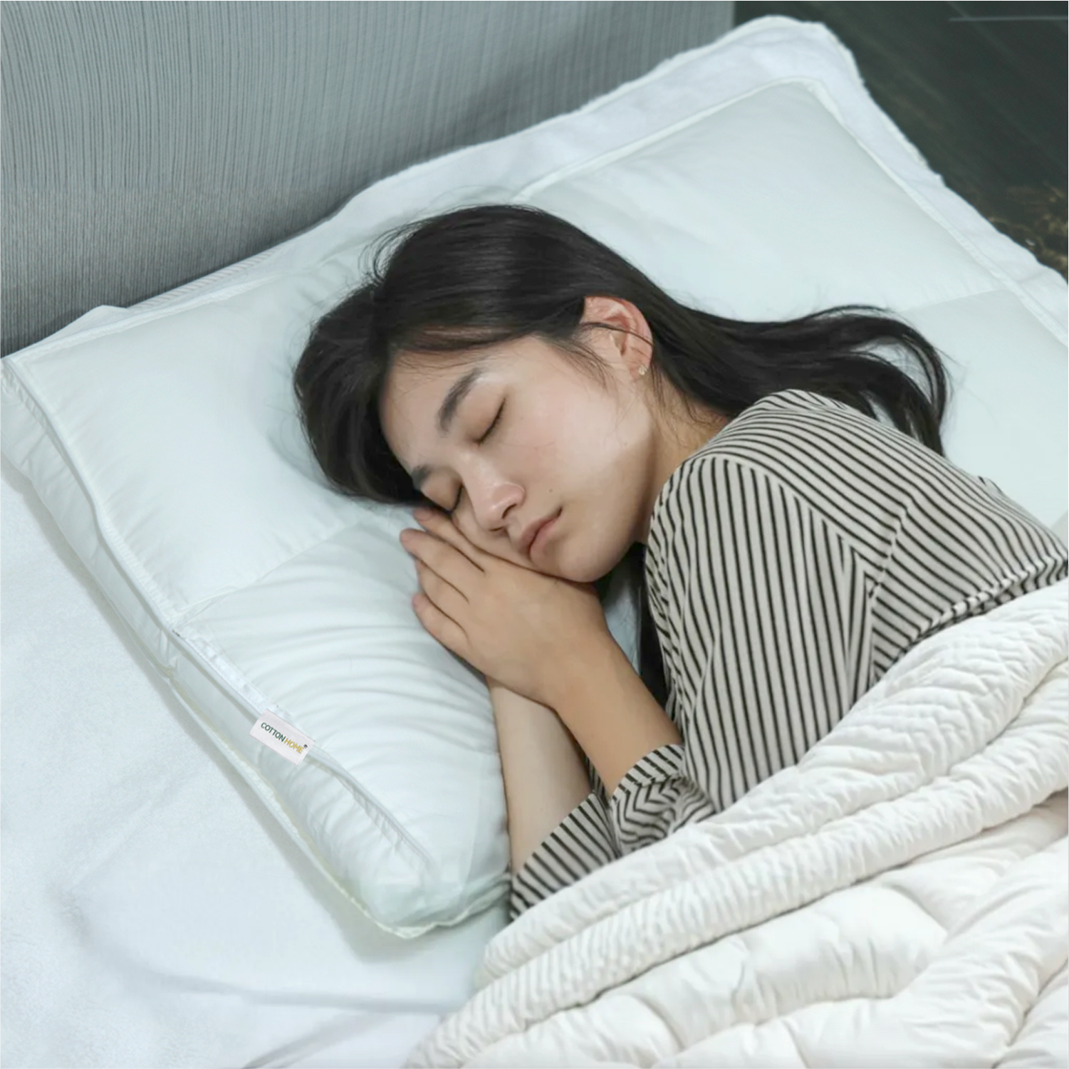 Charlotte Pillow Premium Down proof Cotton Pillow 50x75 cm Medium Soft Support for Neck & Head Pain Relief